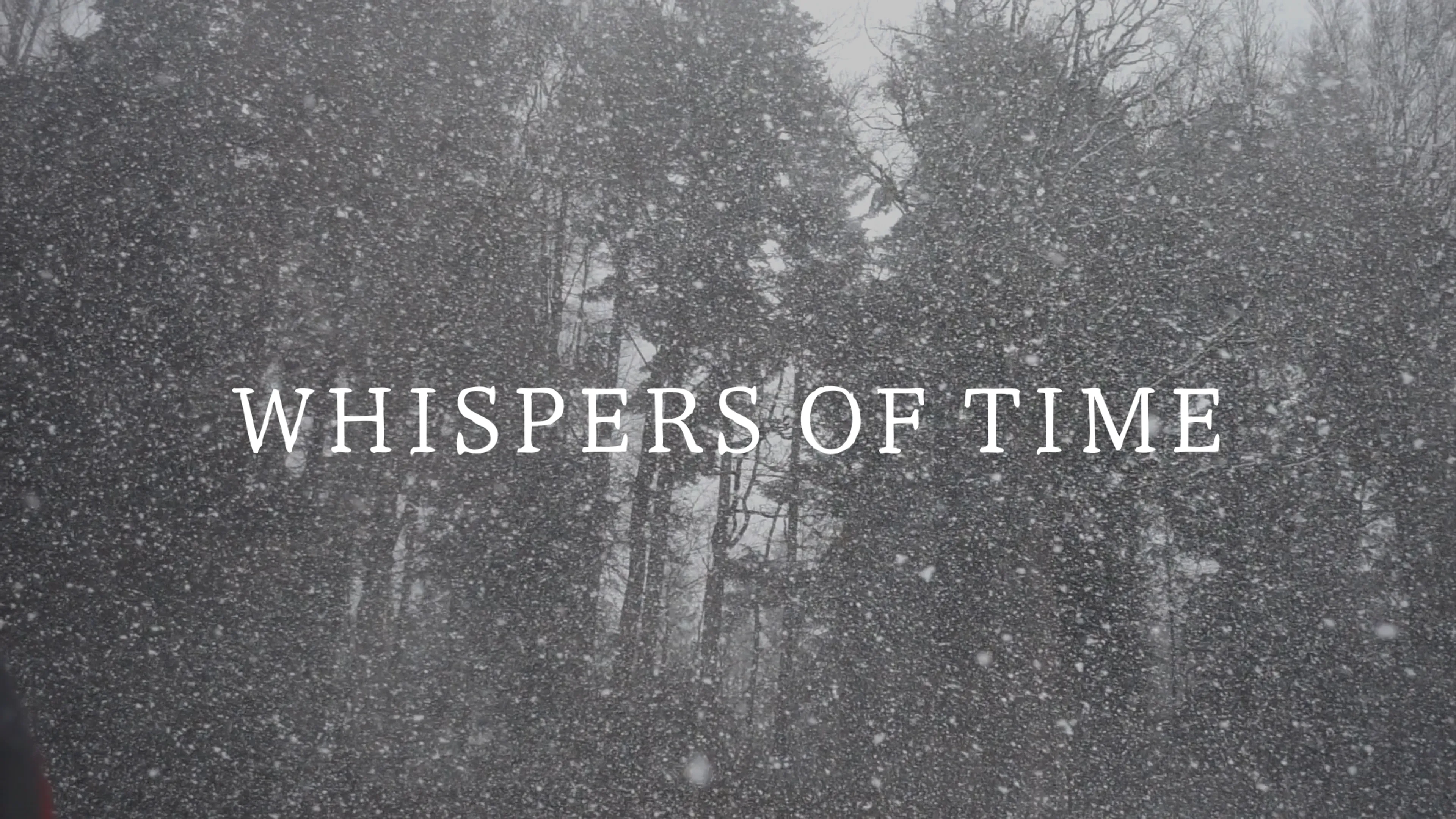 Whispers of Time poster